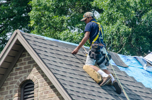Best Roof Leak Repair  in Chenango Bridge, NY